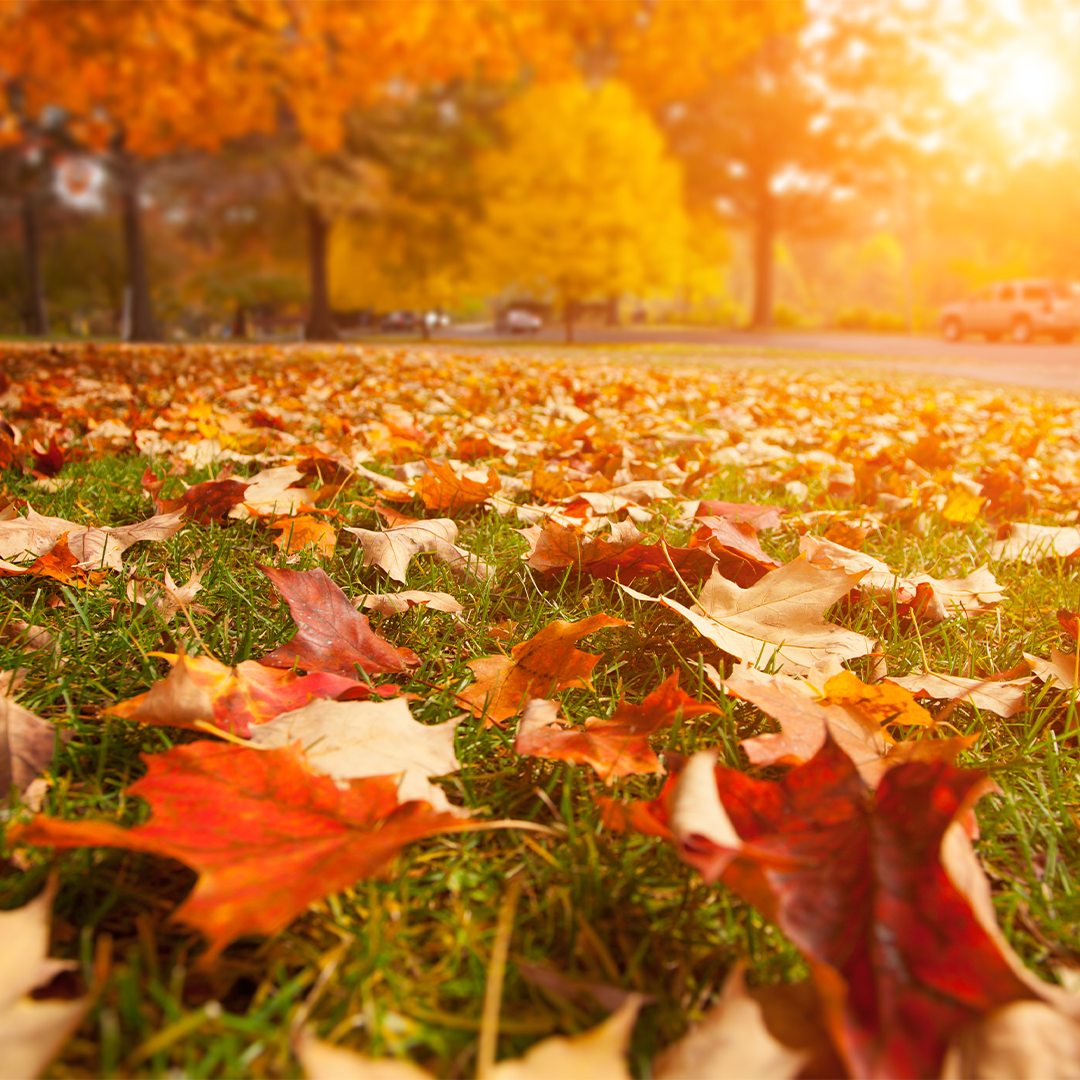 Easy Meals for Fall Weekends at Home