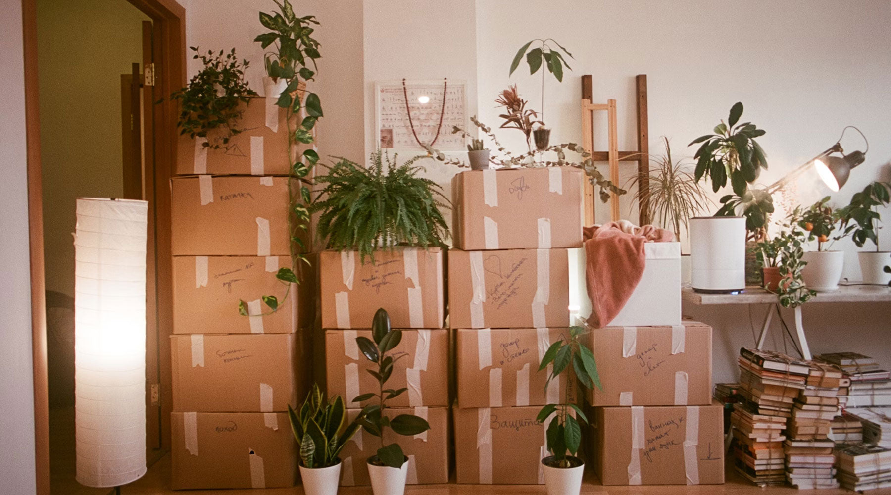 The Best New House Gift? Dinner That Cooks Itself